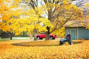 Fall Tips For Your Texas Home 