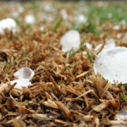 How to prepare for a hailstorm in Texas